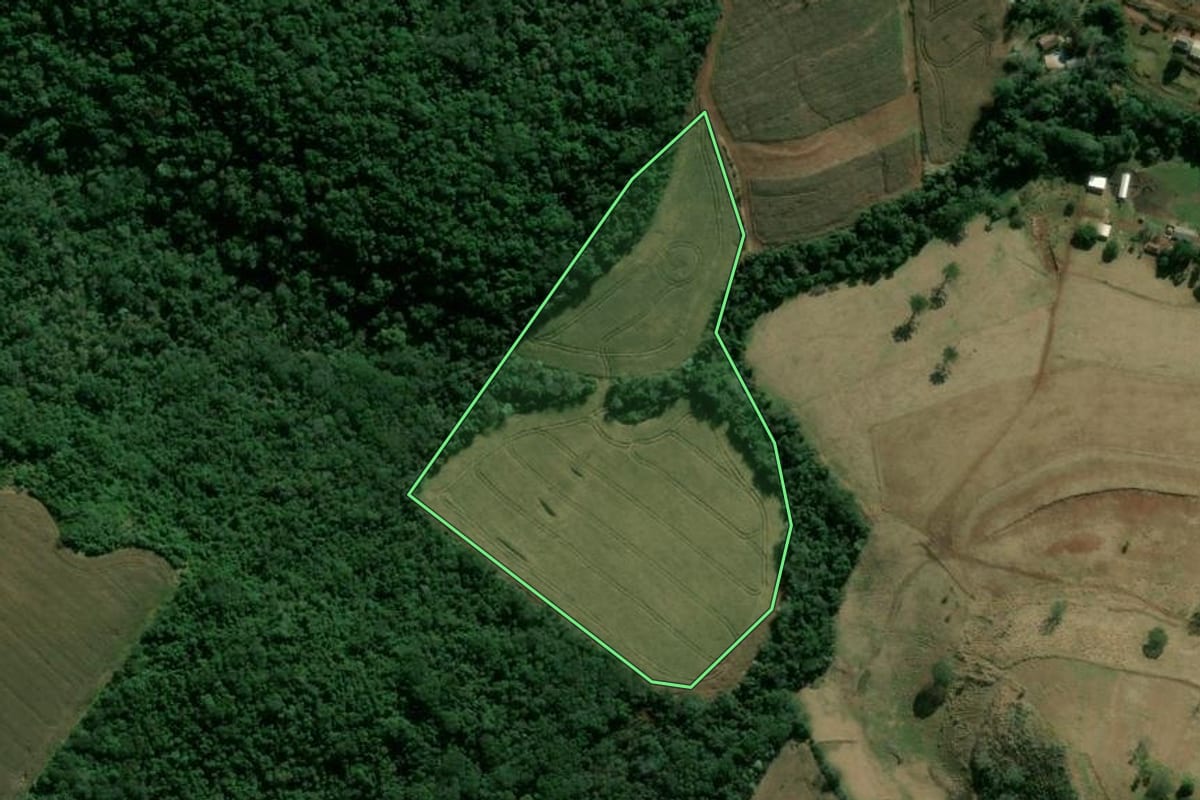 Imagem de satélite do imóvel rural em Apucarana (PR), com o contorno declarado no CAR desenhado por cima.