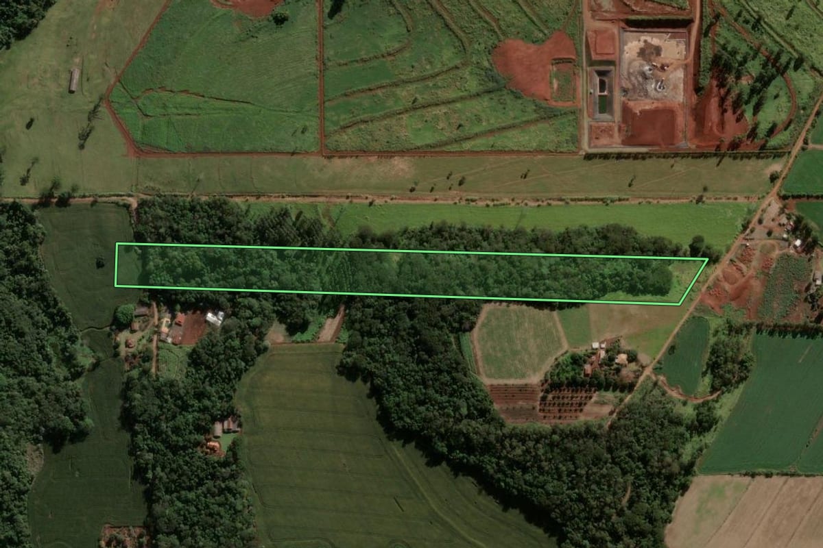 Imagem de satélite do imóvel rural em Apucarana (PR), com o contorno declarado no CAR desenhado por cima.