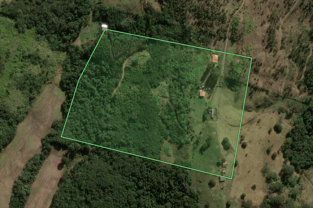 Imagem de satélite do imóvel rural em Apucarana (PR), com o contorno declarado no CAR desenhado por cima.