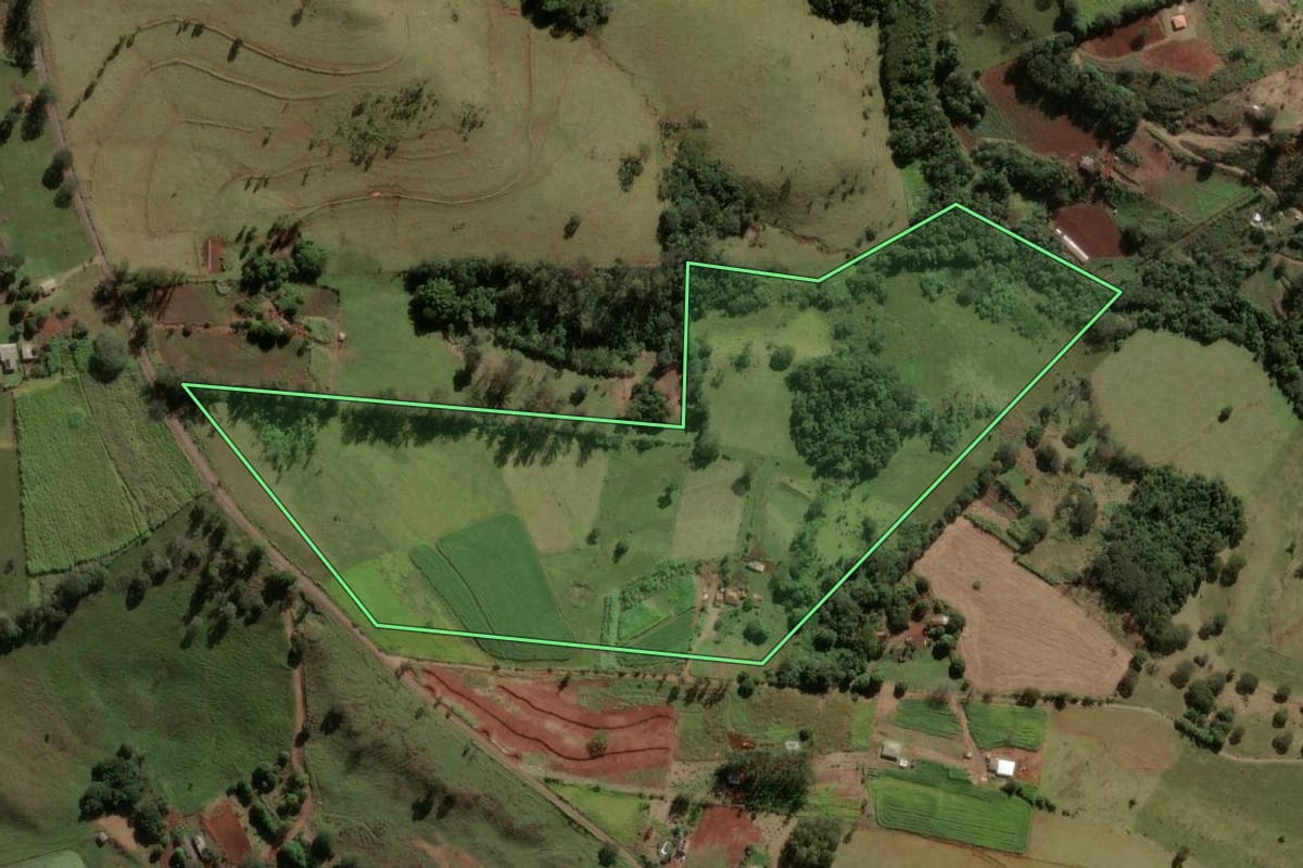 Imagem de satélite do imóvel rural em Apucarana (PR), com o contorno declarado no CAR desenhado por cima.