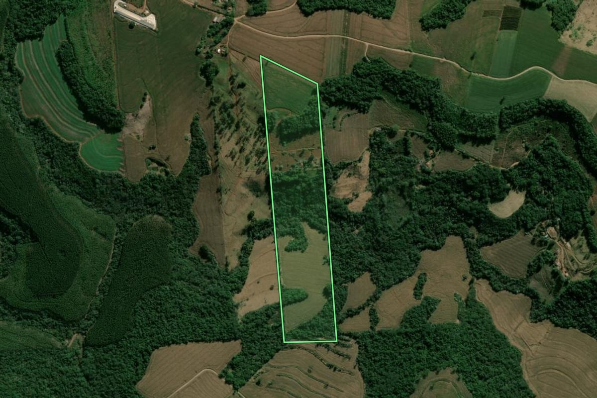 Imagem de satélite do imóvel rural em Apucarana (PR), com o contorno declarado no CAR desenhado por cima.
