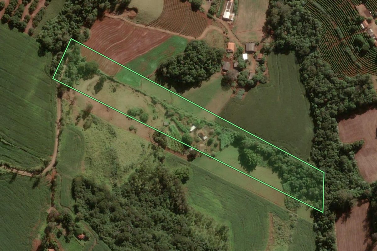 Imagem de satélite do imóvel rural em Apucarana (PR), com o contorno declarado no CAR desenhado por cima.