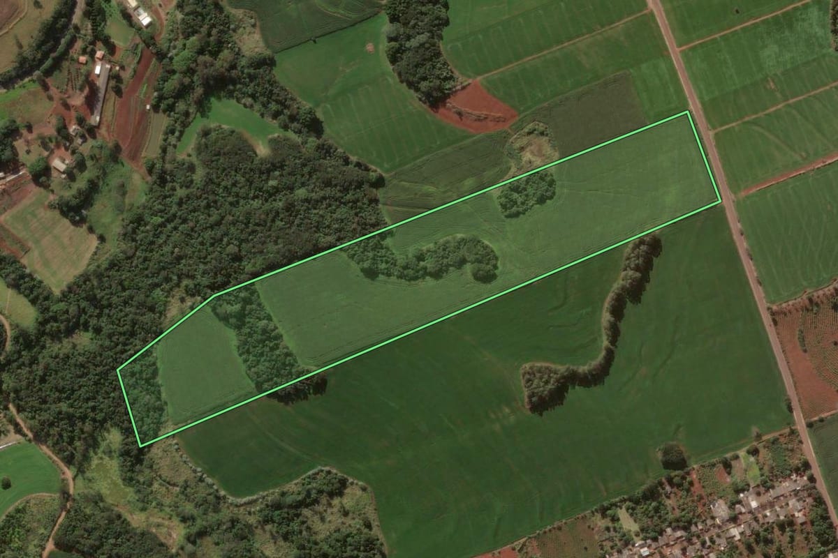 Imagem de satélite do imóvel rural em Apucarana (PR), com o contorno declarado no CAR desenhado por cima.