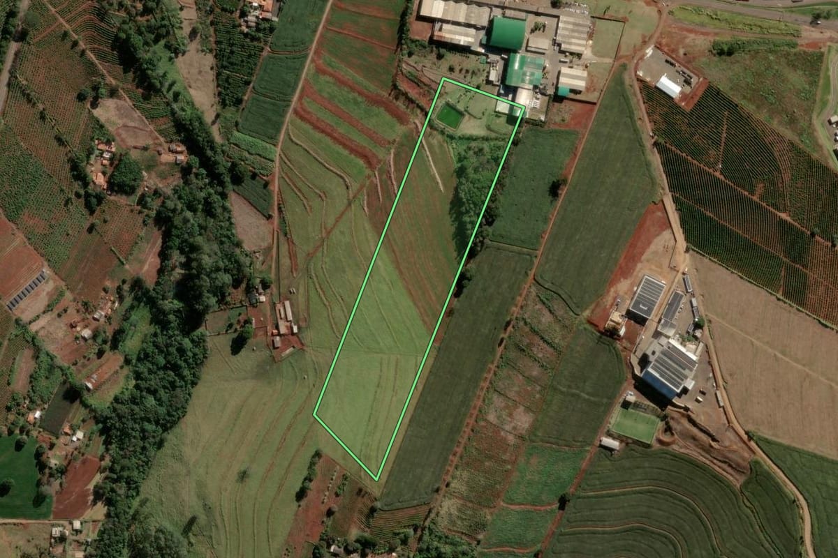 Imagem de satélite do imóvel rural em Apucarana (PR), com o contorno declarado no CAR desenhado por cima.