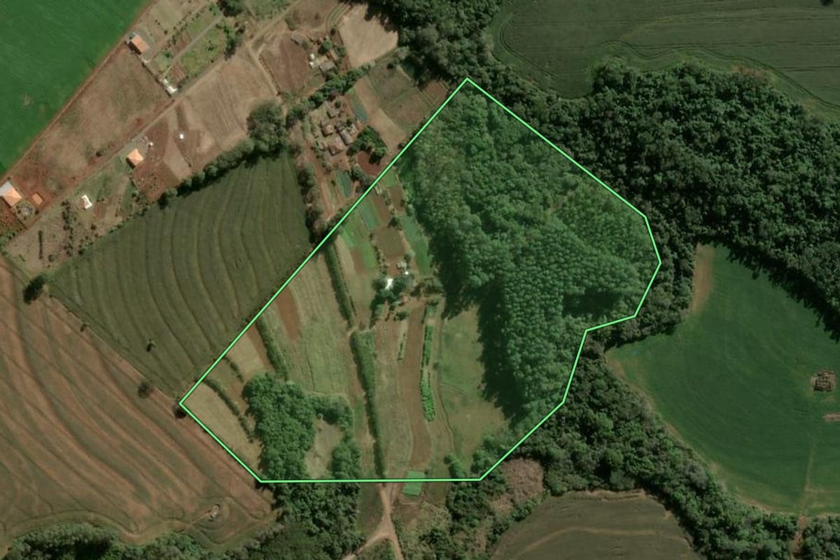 Imagem de satélite do imóvel rural em Apucarana (PR), com o contorno declarado no CAR desenhado por cima.