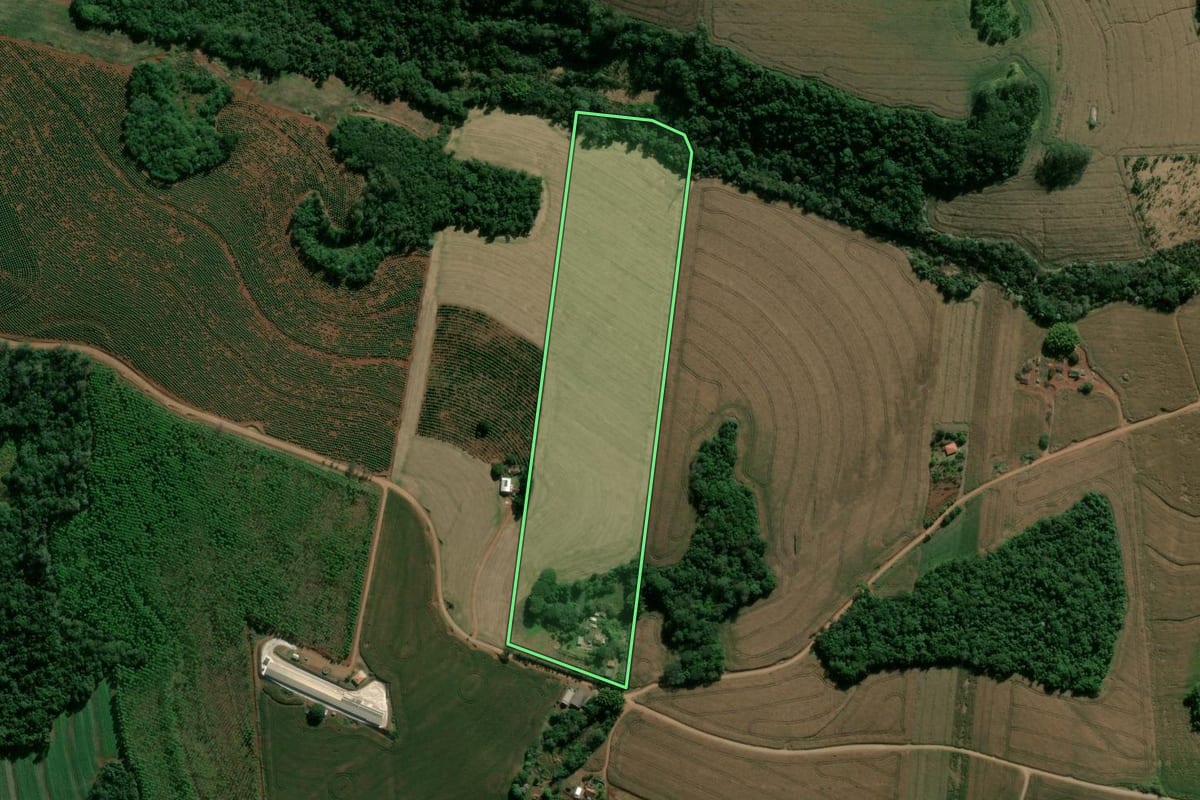 Imagem de satélite do imóvel rural em Apucarana (PR), com o contorno declarado no CAR desenhado por cima.