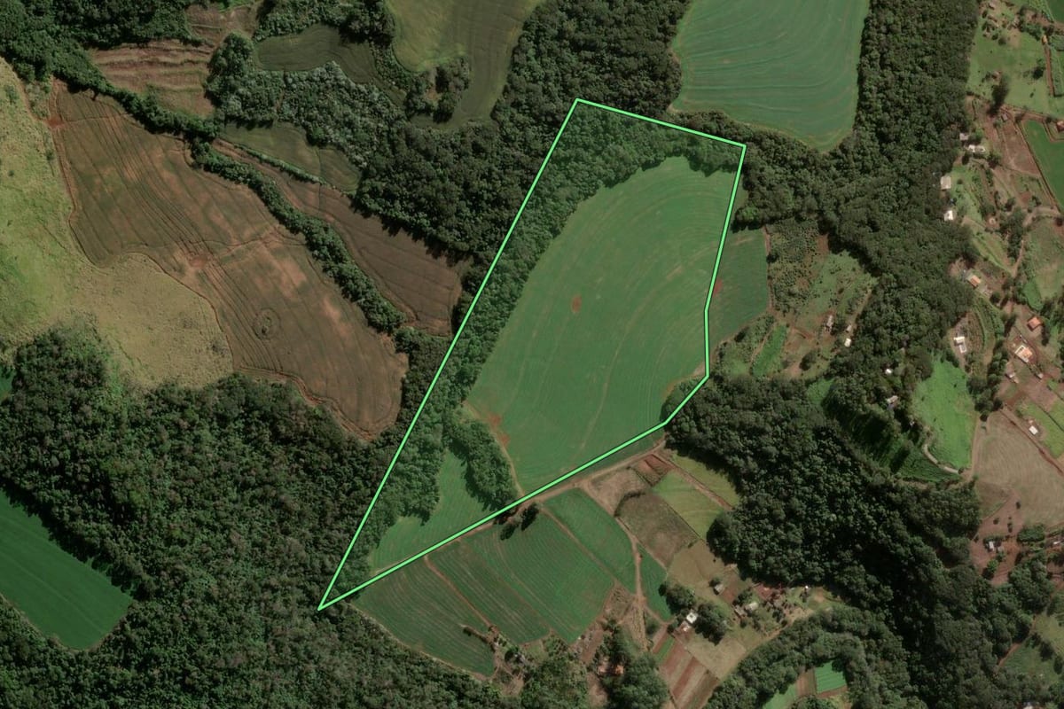 Imagem de satélite do imóvel rural em Apucarana (PR), com o contorno declarado no CAR desenhado por cima.