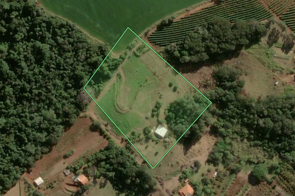 Imagem de satélite do imóvel rural em Apucarana (PR), com o contorno declarado no CAR desenhado por cima.