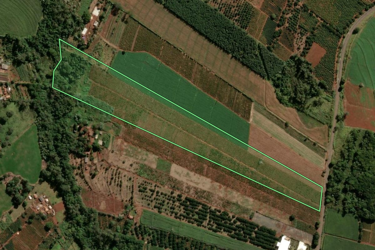 Imagem de satélite do imóvel rural em Apucarana (PR), com o contorno declarado no CAR desenhado por cima.