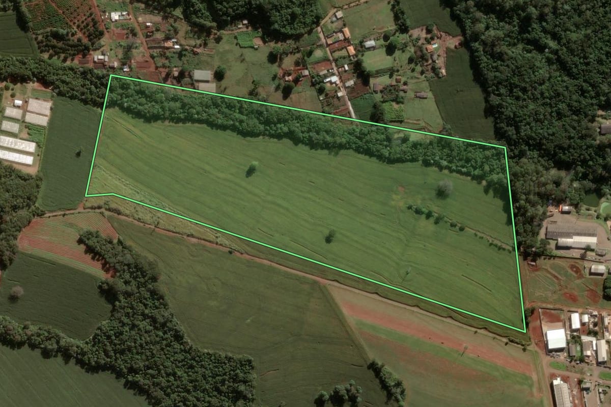 Imagem de satélite do imóvel rural em Apucarana (PR), com o contorno declarado no CAR desenhado por cima.