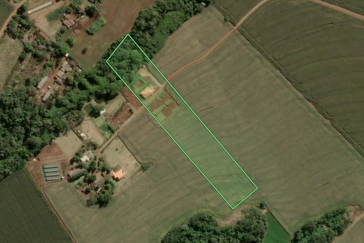 Imagem de satélite do imóvel rural em Apucarana (PR), com o contorno declarado no CAR desenhado por cima.