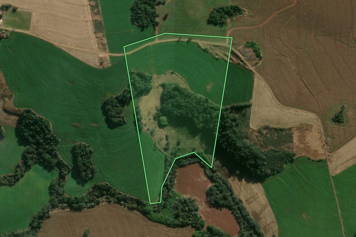 Imagem de satélite do imóvel rural em Apucarana (PR), com o contorno declarado no CAR desenhado por cima.
