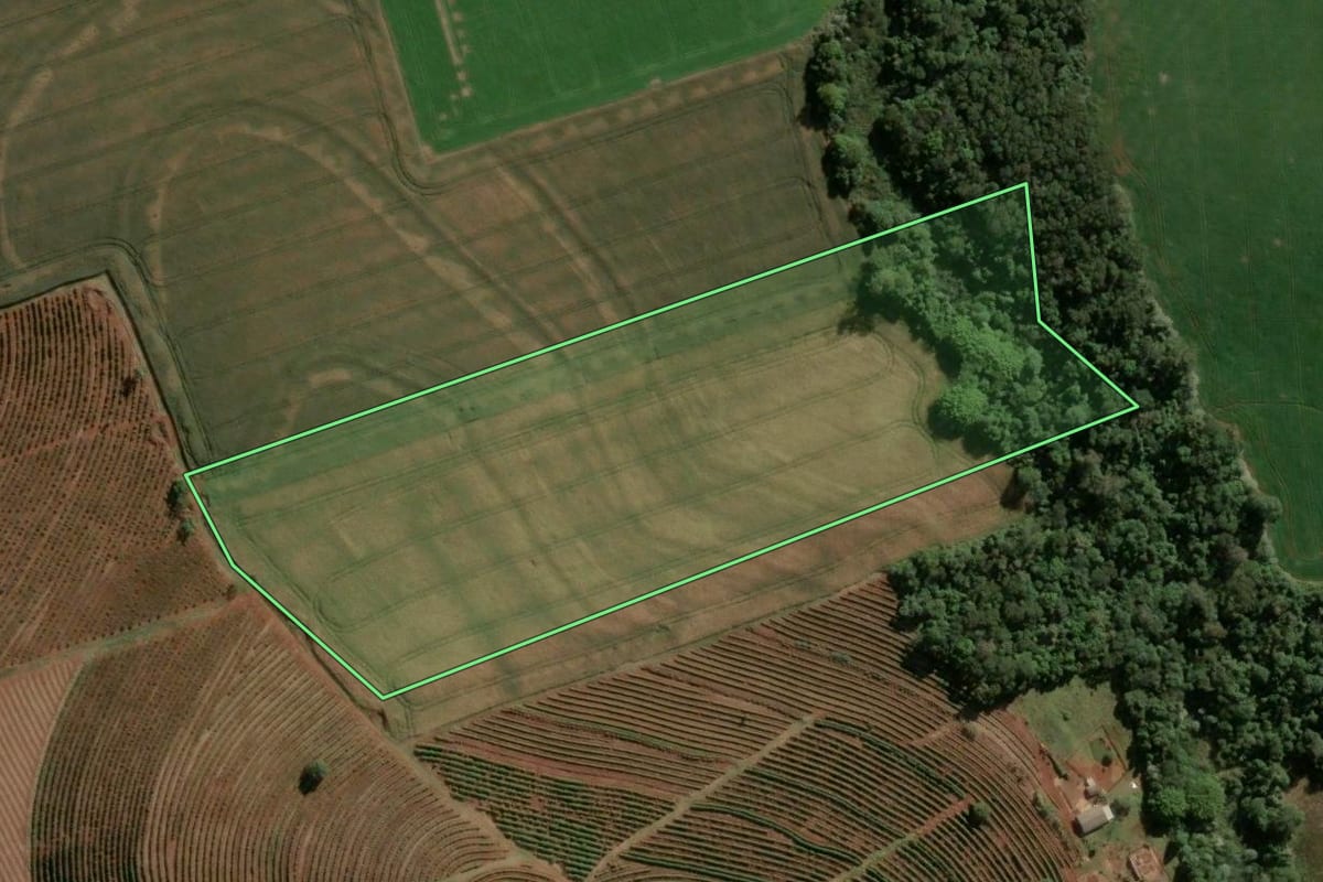 Imagem de satélite do imóvel rural em Apucarana (PR), com o contorno declarado no CAR desenhado por cima.