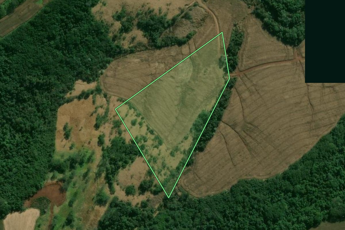 Imagem de satélite do imóvel rural em Apucarana (PR), com o contorno declarado no CAR desenhado por cima.