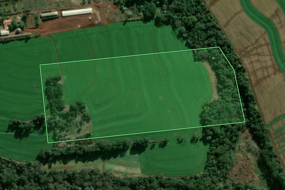 Imagem de satélite do imóvel rural em Arapongas (PR), com o contorno declarado no CAR desenhado por cima.