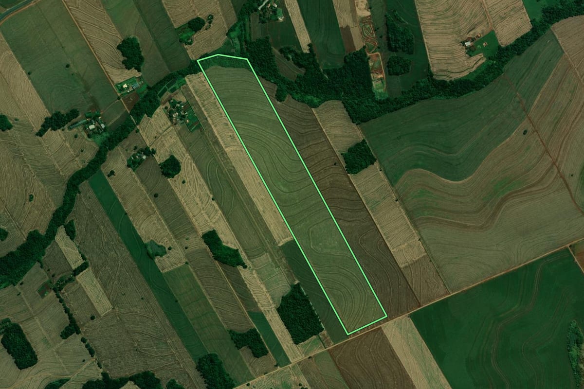 Imagem de satélite do imóvel rural em Arapongas (PR), com o contorno declarado no CAR desenhado por cima.