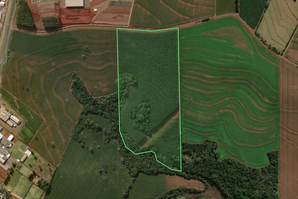 Imagem de satélite do imóvel rural em Arapongas (PR), com o contorno declarado no CAR desenhado por cima.