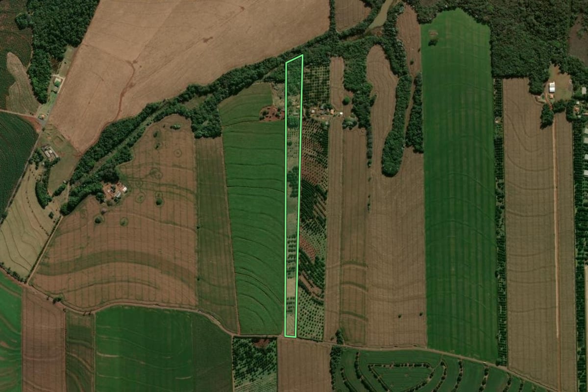Imagem de satélite do imóvel rural em Arapongas (PR), com o contorno declarado no CAR desenhado por cima.