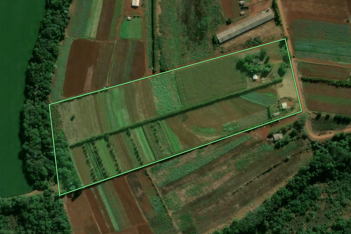 Imagem de satélite do imóvel rural em Arapongas (PR), com o contorno declarado no CAR desenhado por cima.