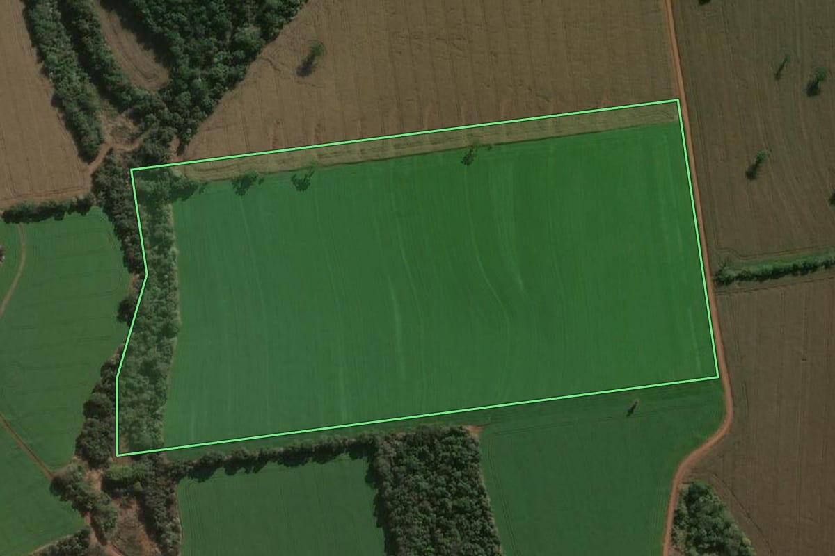 Imagem de satélite do imóvel rural em Arapongas (PR), com o contorno declarado no CAR desenhado por cima.