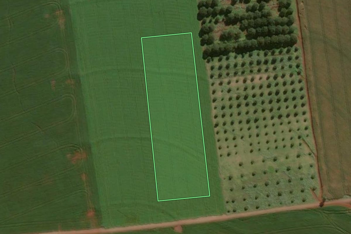 Imagem de satélite do imóvel rural em Arapongas (PR), com o contorno declarado no CAR desenhado por cima.