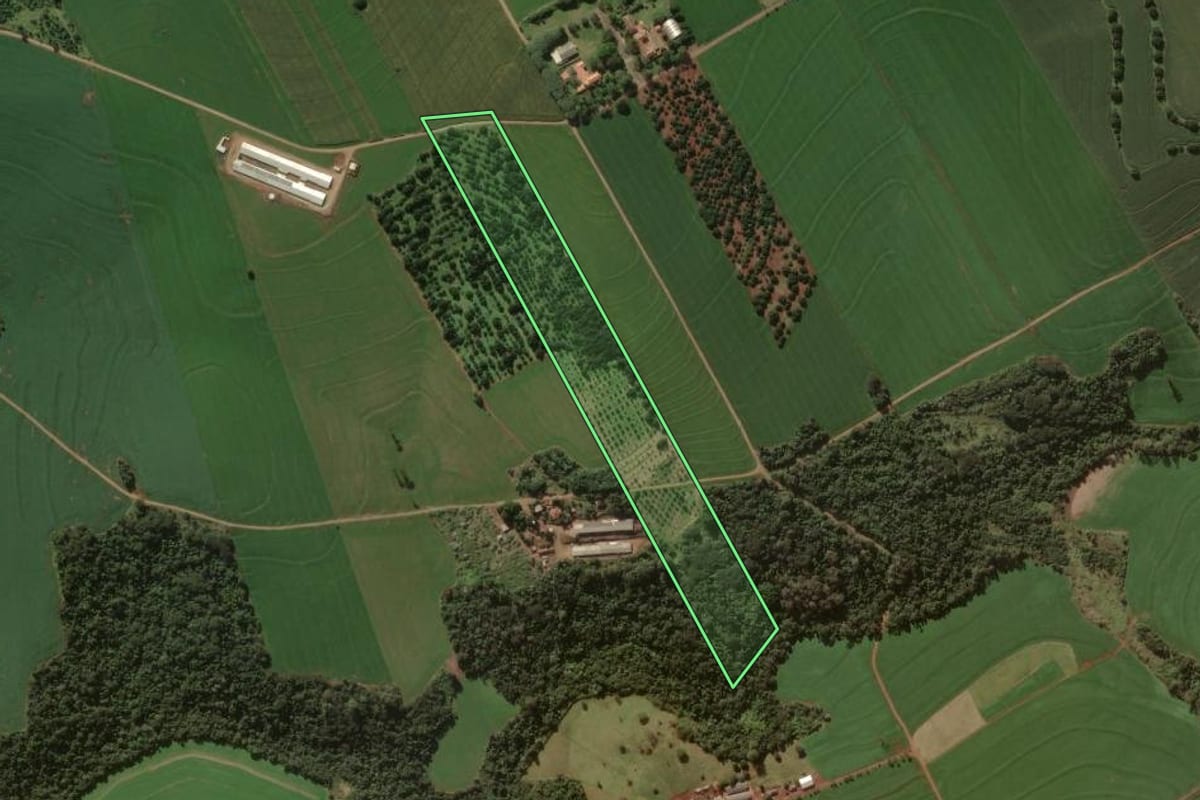 Imagem de satélite do imóvel rural em Arapongas (PR), com o contorno declarado no CAR desenhado por cima.