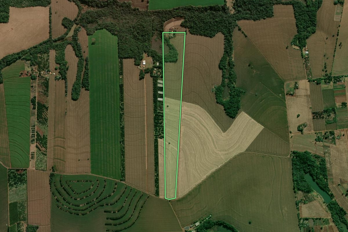 Imagem de satélite do imóvel rural em Arapongas (PR), com o contorno declarado no CAR desenhado por cima.