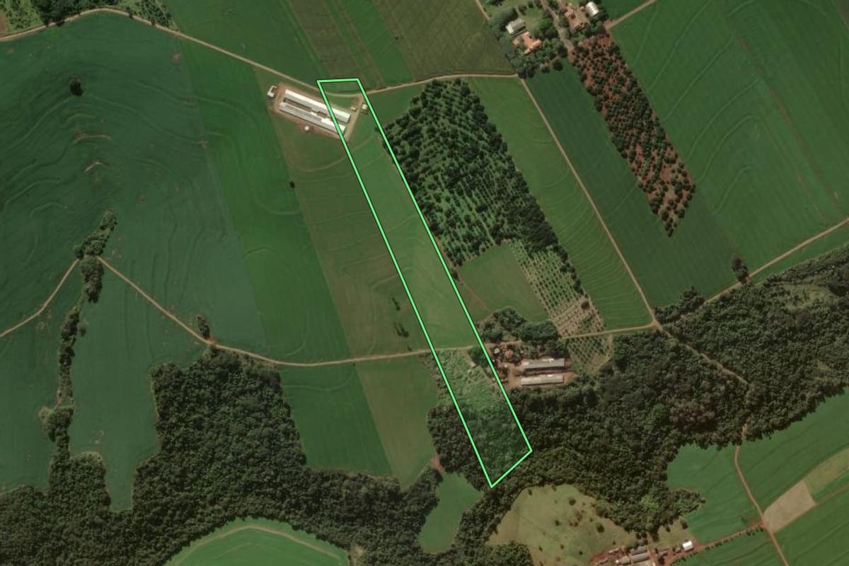 Imagem de satélite do imóvel rural em Arapongas (PR), com o contorno declarado no CAR desenhado por cima.