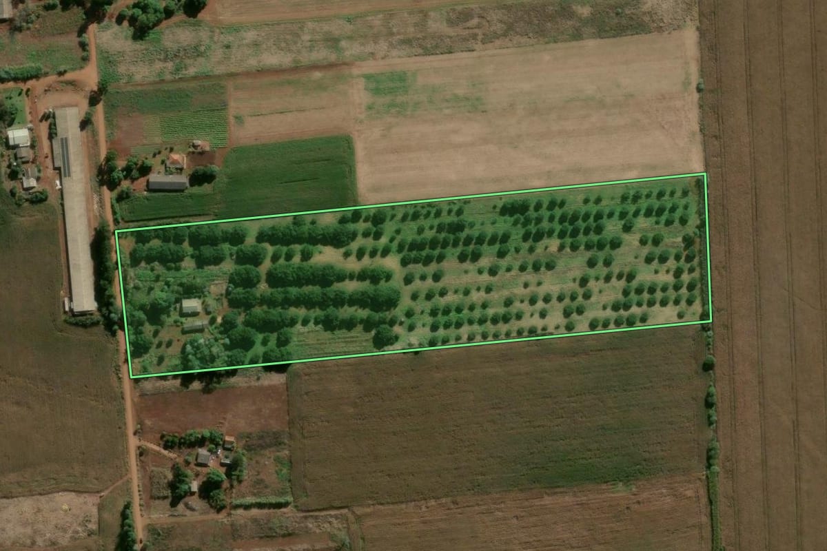 Imagem de satélite do imóvel rural em Arapongas (PR), com o contorno declarado no CAR desenhado por cima.