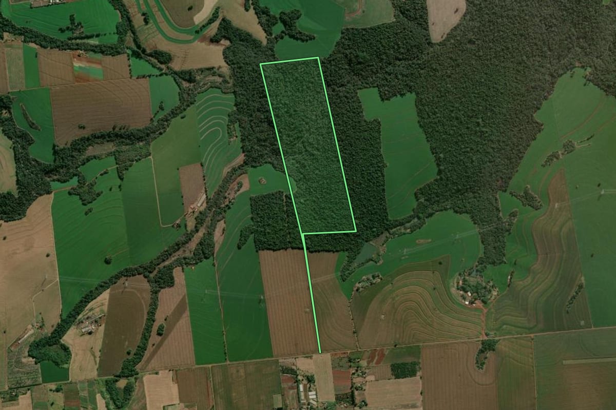 Imagem de satélite do imóvel rural em Arapongas (PR), com o contorno declarado no CAR desenhado por cima.