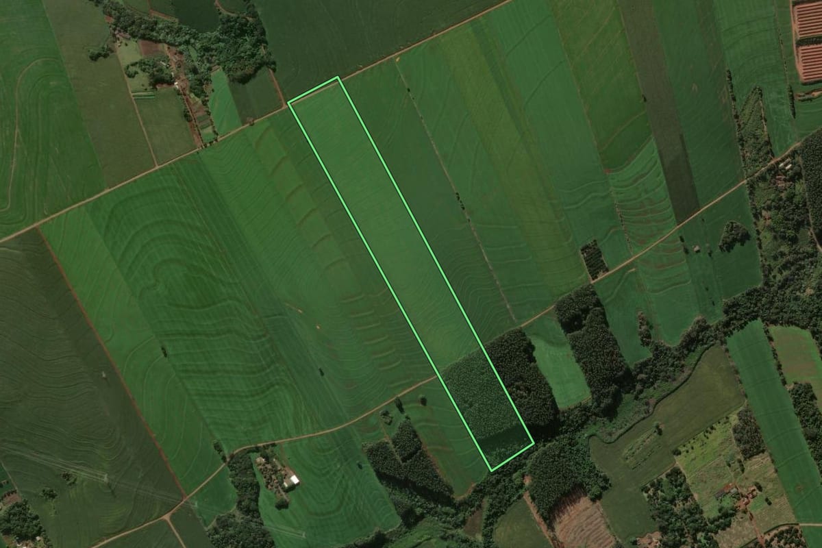Imagem de satélite do imóvel rural em Arapongas (PR), com o contorno declarado no CAR desenhado por cima.