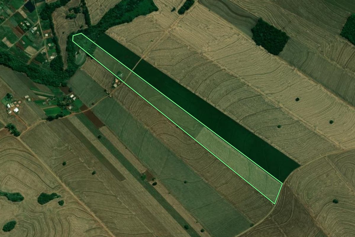Imagem de satélite do imóvel rural em Arapongas (PR), com o contorno declarado no CAR desenhado por cima.