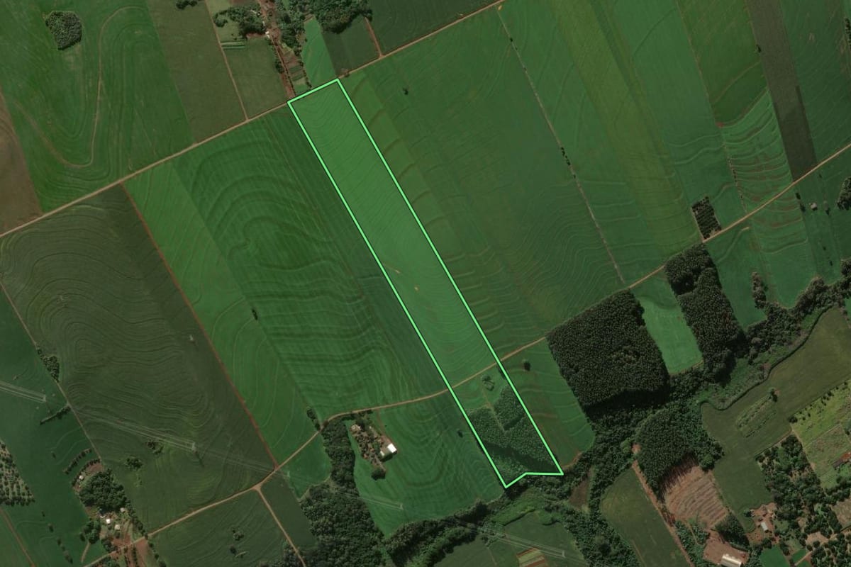 Imagem de satélite do imóvel rural em Arapongas (PR), com o contorno declarado no CAR desenhado por cima.