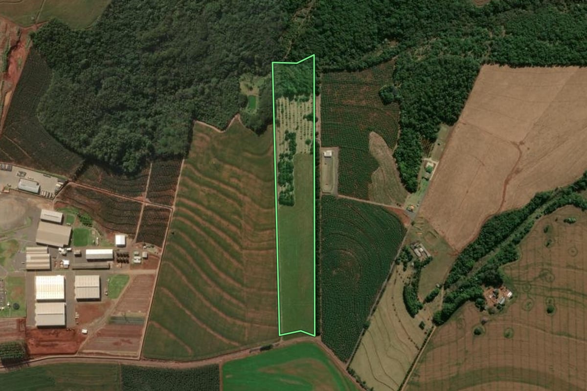 Imagem de satélite do imóvel rural em Arapongas (PR), com o contorno declarado no CAR desenhado por cima.
