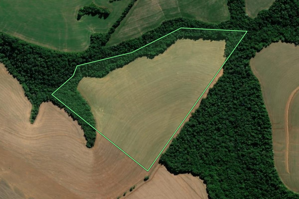 Imagem de satélite do imóvel rural em Arapoti (PR), com o contorno declarado no CAR desenhado por cima.