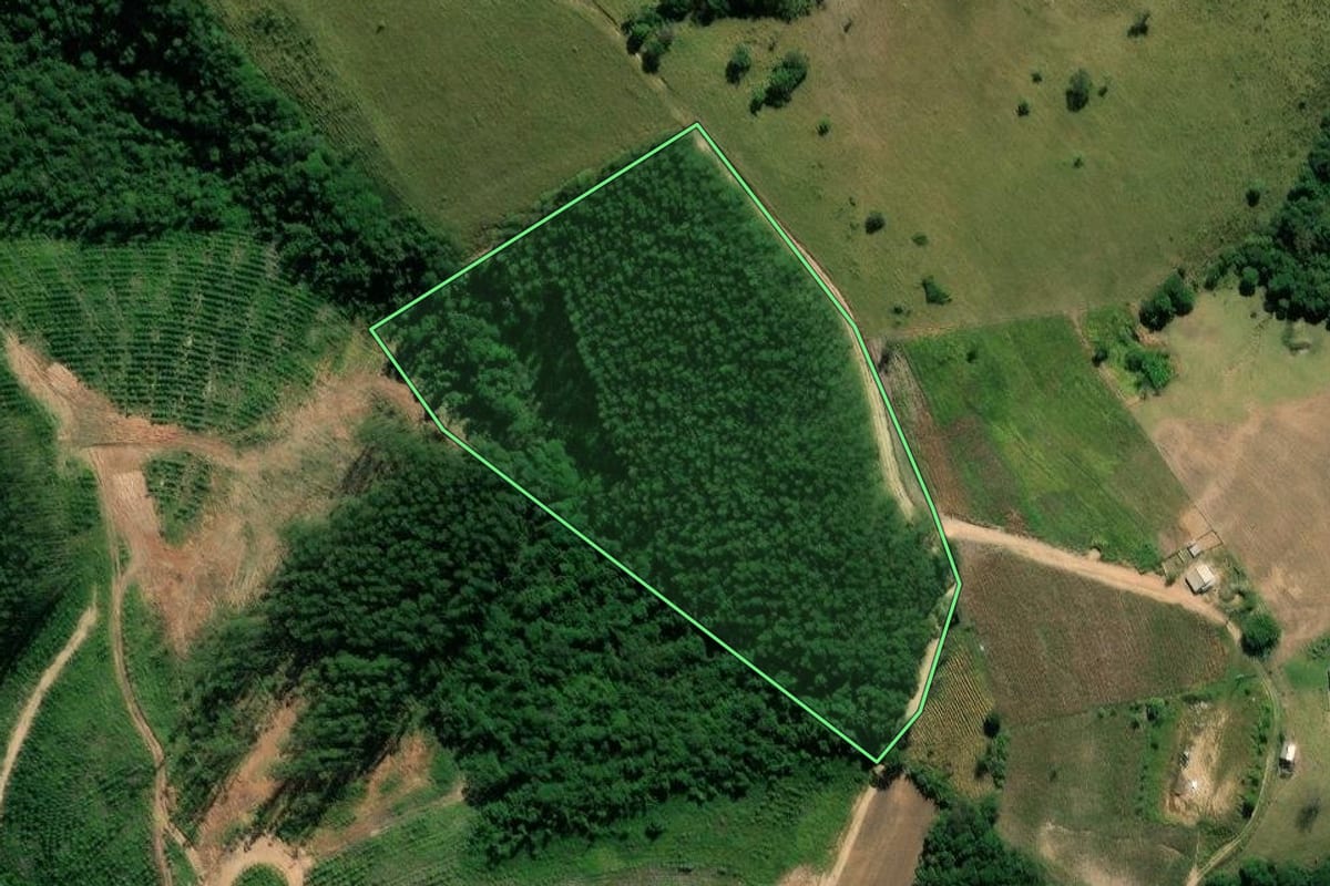 Imagem de satélite do imóvel rural em Arapoti (PR), com o contorno declarado no CAR desenhado por cima.