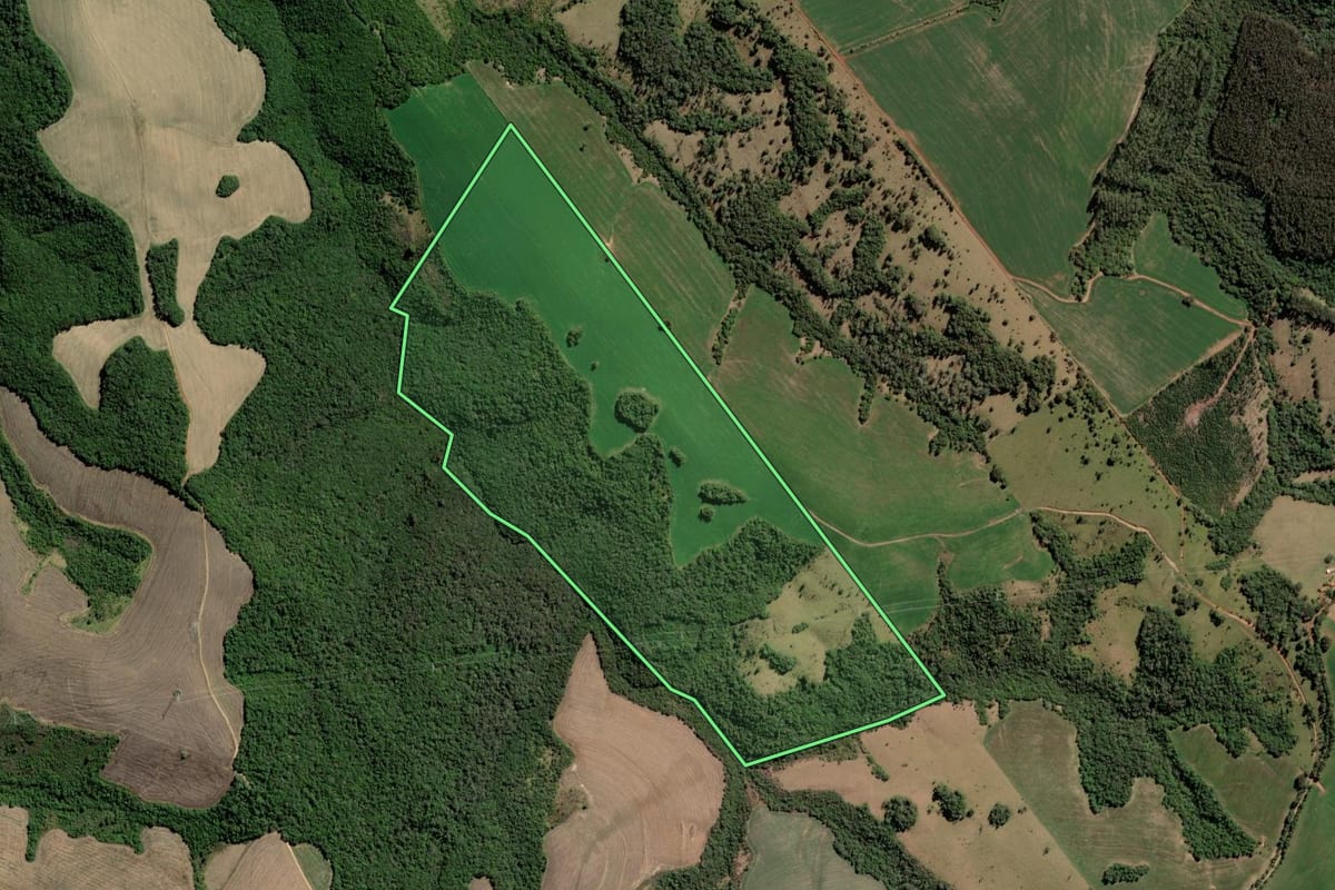 Imagem de satélite do imóvel rural em Arapoti (PR), com o contorno declarado no CAR desenhado por cima.
