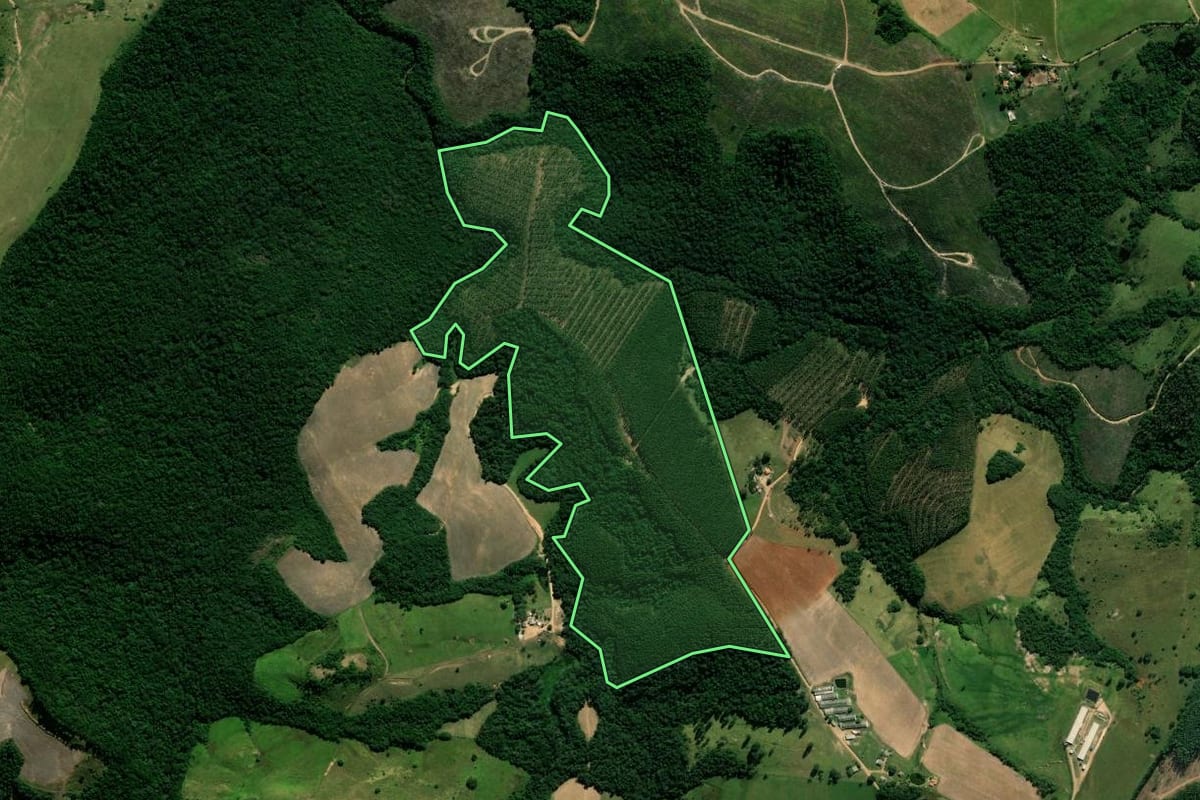 Imagem de satélite do imóvel rural em Arapoti (PR), com o contorno declarado no CAR desenhado por cima.