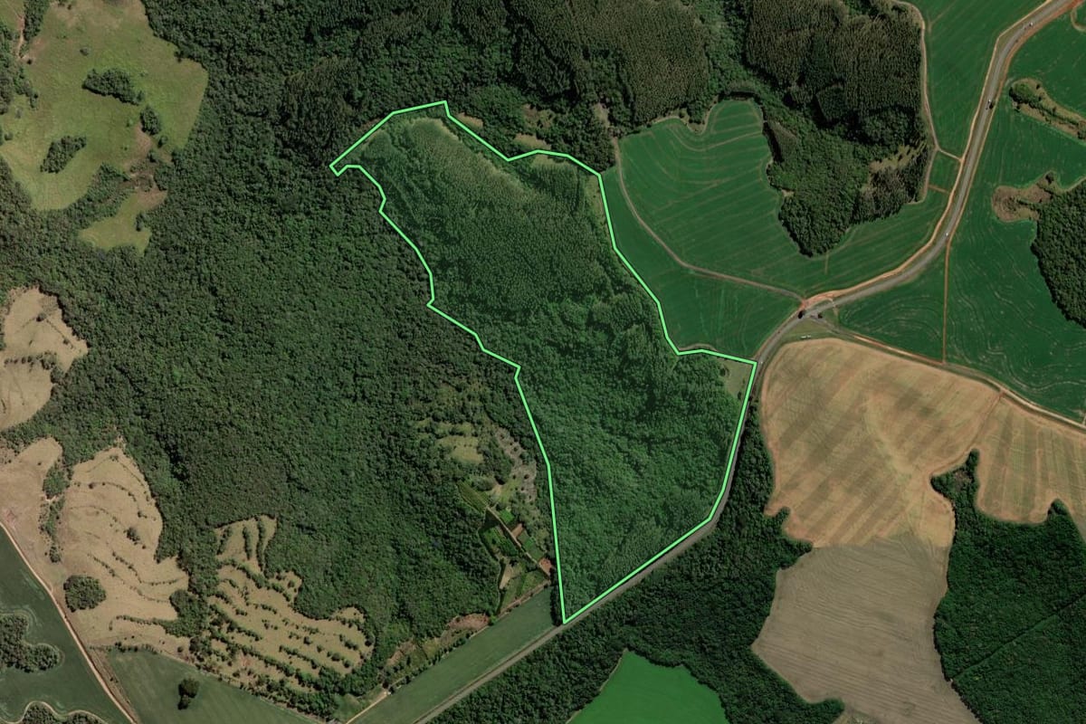 Imagem de satélite do imóvel rural em Arapoti (PR), com o contorno declarado no CAR desenhado por cima.