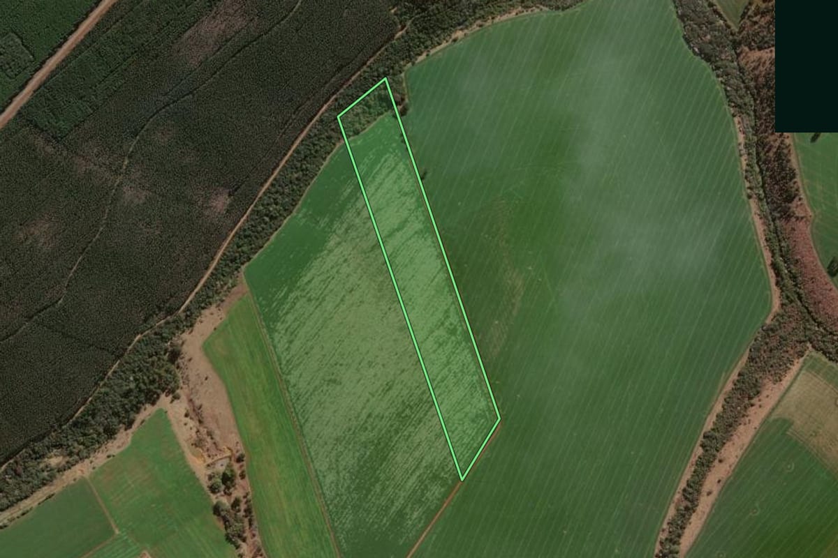 Imagem de satélite do imóvel rural em Arapoti (PR), com o contorno declarado no CAR desenhado por cima.