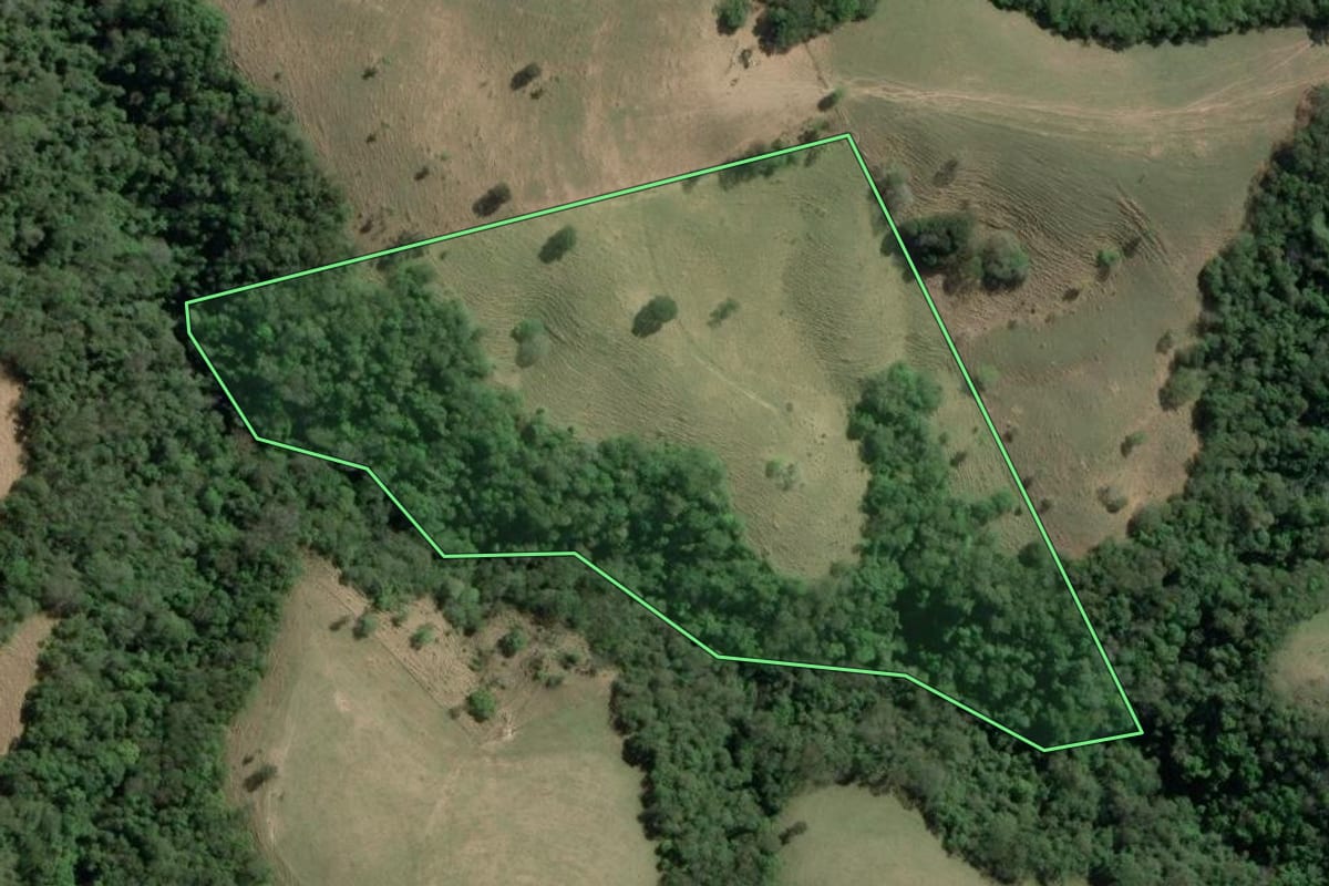 Imagem de satélite do imóvel rural em Arapoti (PR), com o contorno declarado no CAR desenhado por cima.