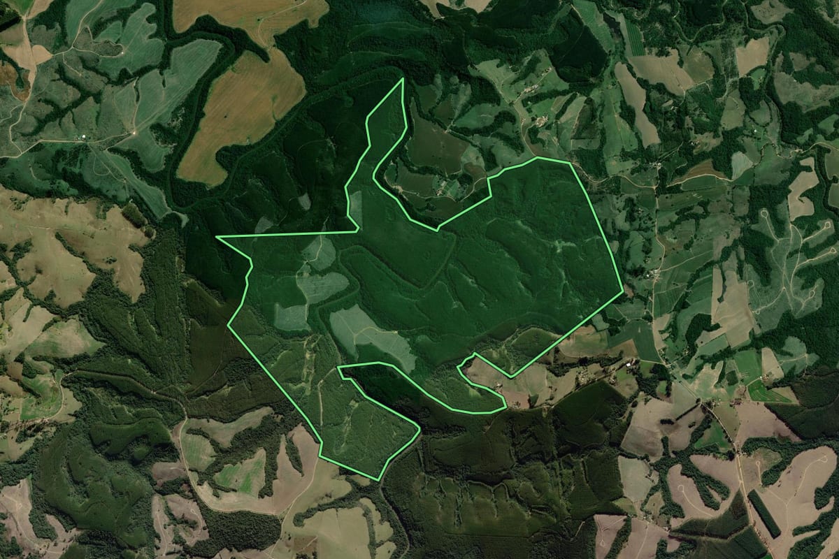Imagem de satélite do imóvel rural em Arapoti (PR), com o contorno declarado no CAR desenhado por cima.