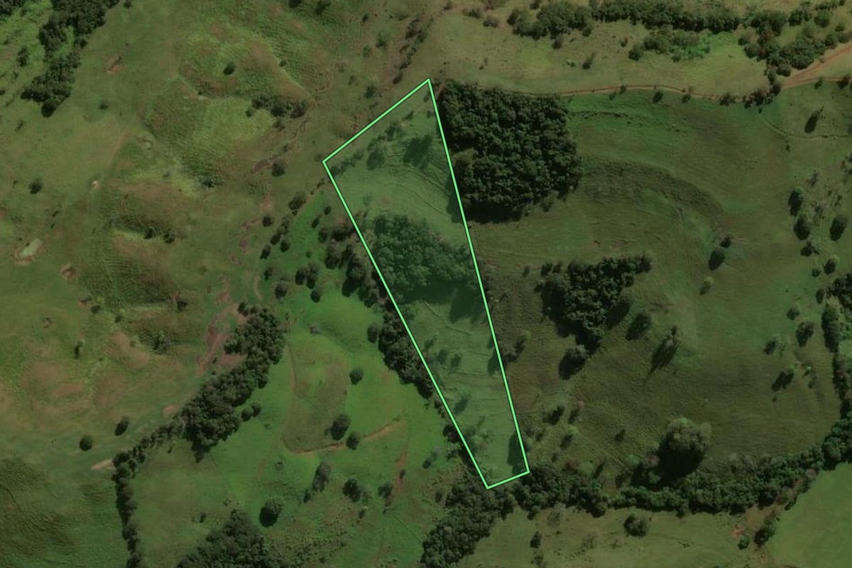 Imagem de satélite do imóvel rural em Arapuã (PR), com o contorno declarado no CAR desenhado por cima.