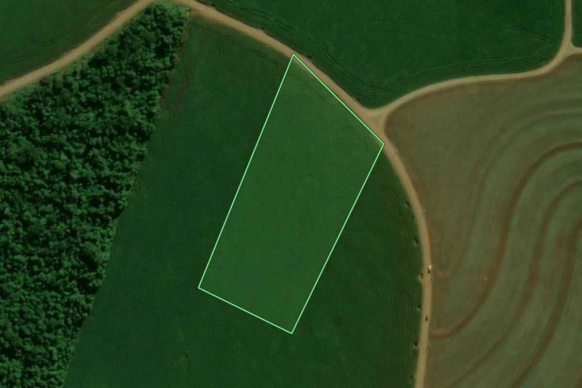 Imagem de satélite do imóvel rural em Arapuã (PR), com o contorno declarado no CAR desenhado por cima.