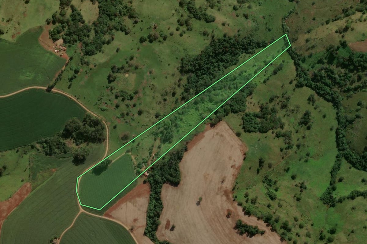 Imagem de satélite do imóvel rural em Arapuã (PR), com o contorno declarado no CAR desenhado por cima.