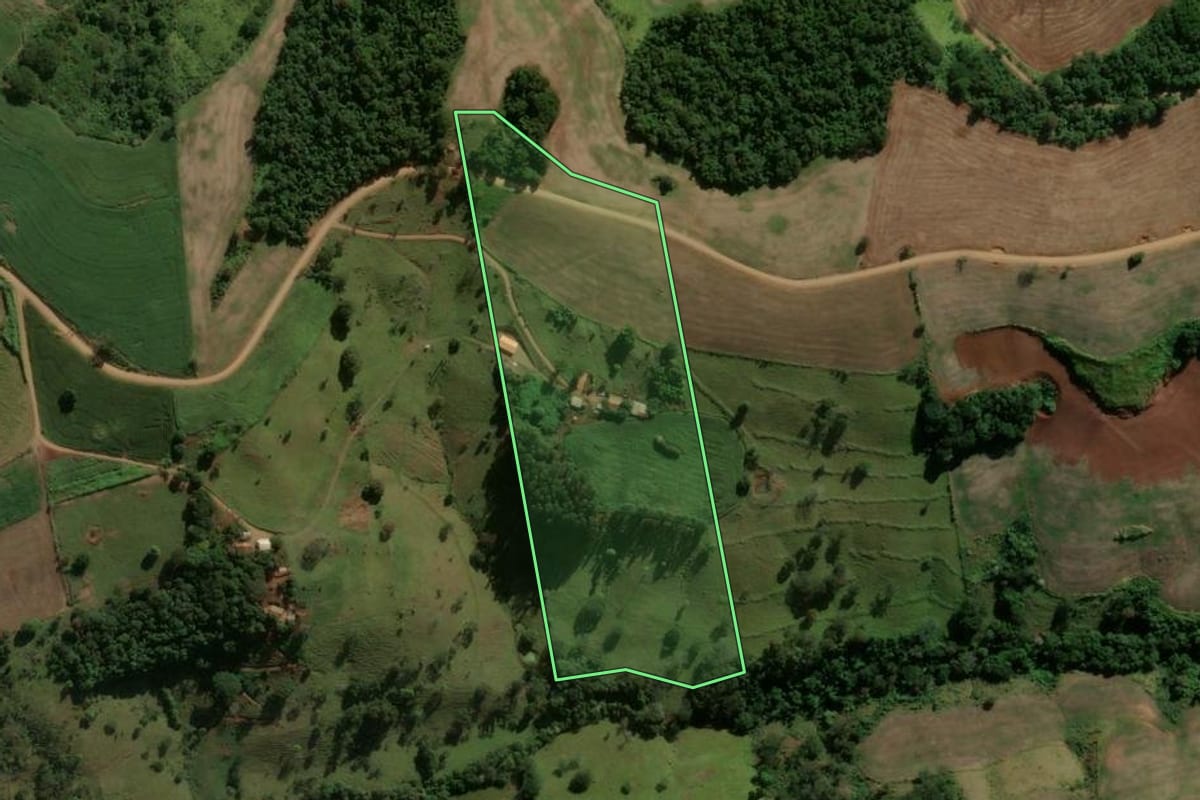 Imagem de satélite do imóvel rural em Arapuã (PR), com o contorno declarado no CAR desenhado por cima.