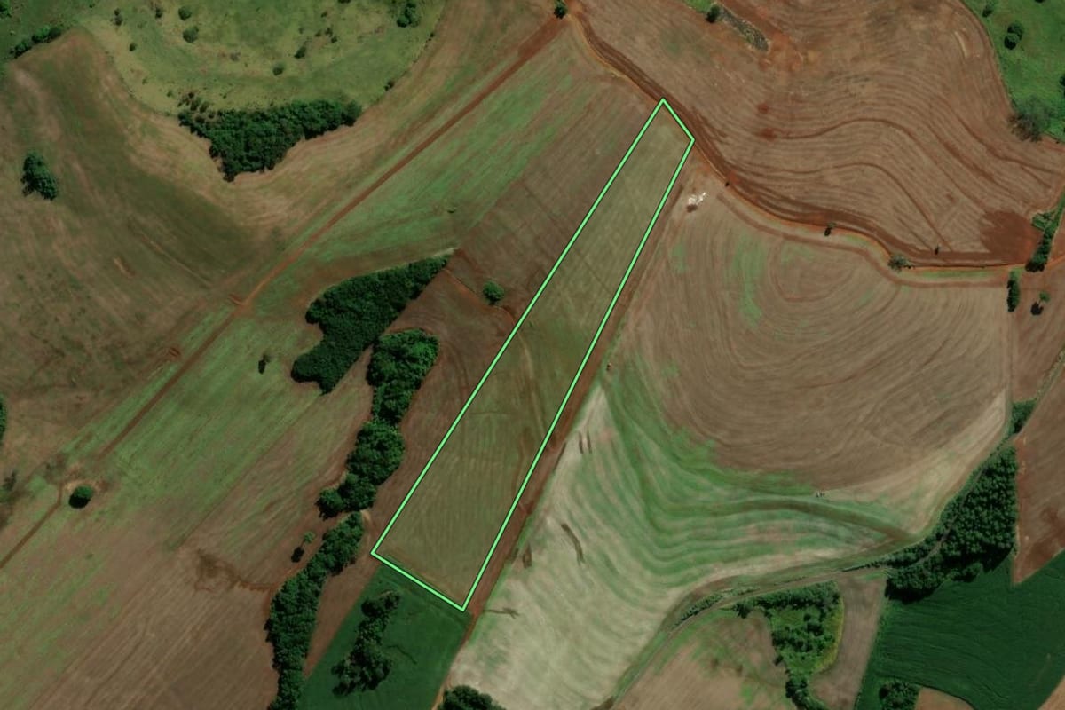 Imagem de satélite do imóvel rural em Arapuã (PR), com o contorno declarado no CAR desenhado por cima.
