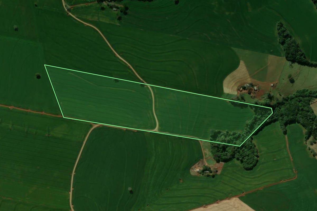 Imagem de satélite do imóvel rural em Arapuã (PR), com o contorno declarado no CAR desenhado por cima.