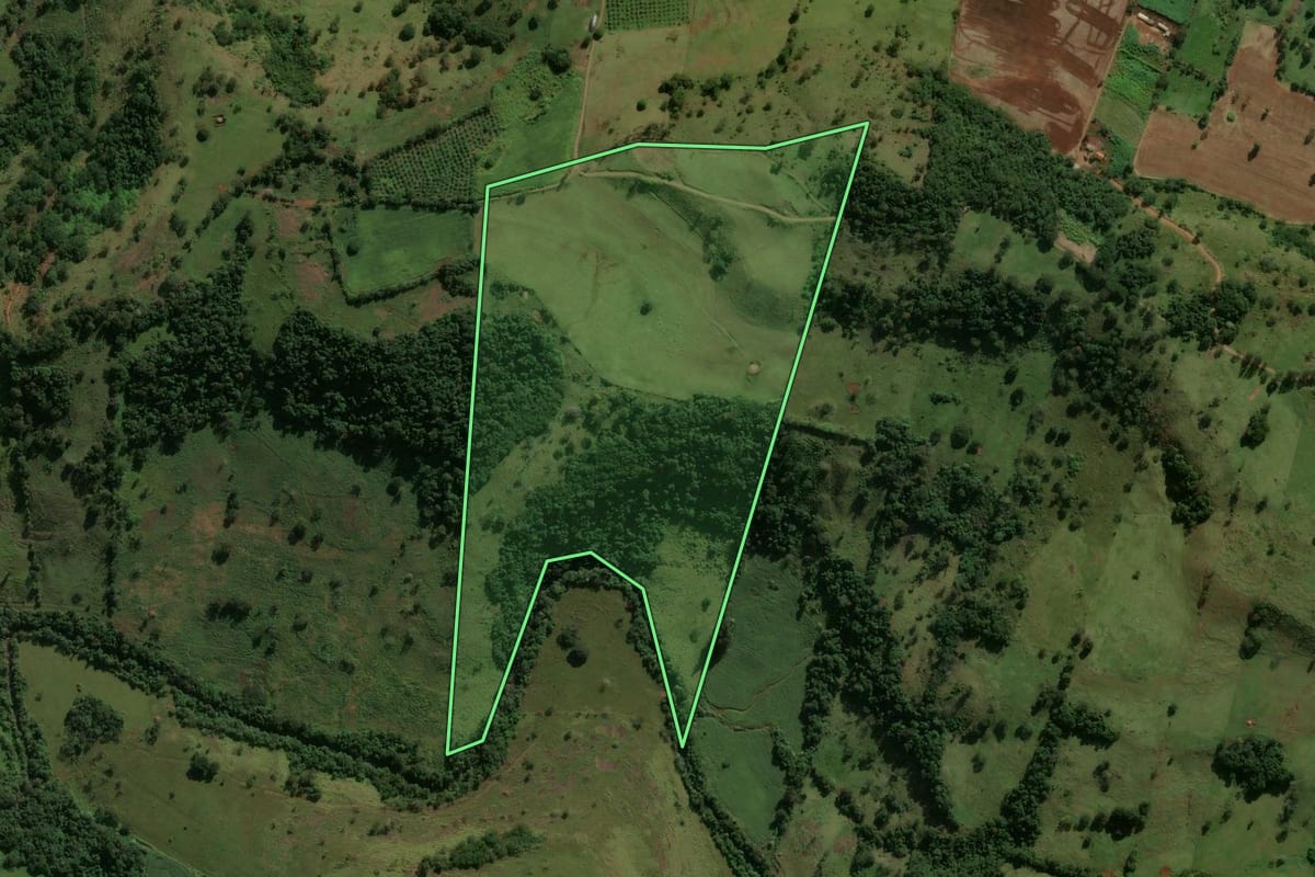 Imagem de satélite do imóvel rural em Arapuã (PR), com o contorno declarado no CAR desenhado por cima.