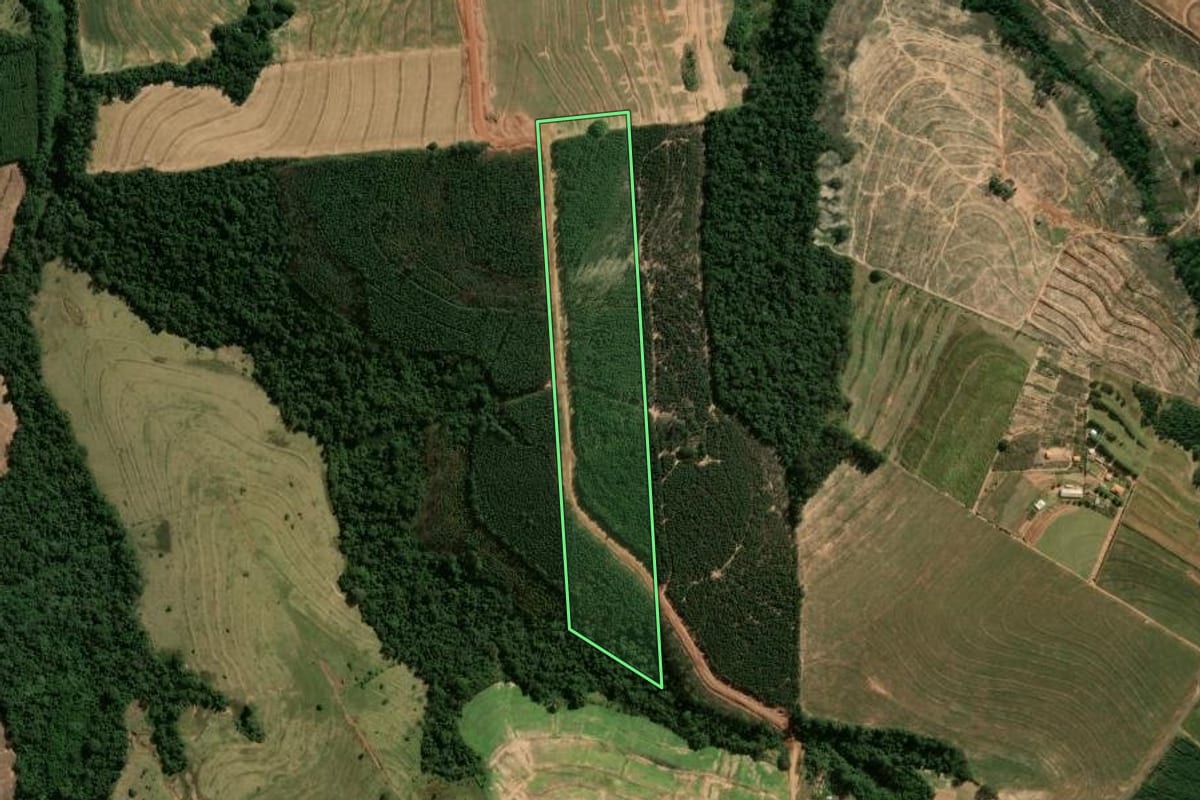 Imagem de satélite do imóvel rural em Araruna (PR), com o contorno declarado no CAR desenhado por cima.